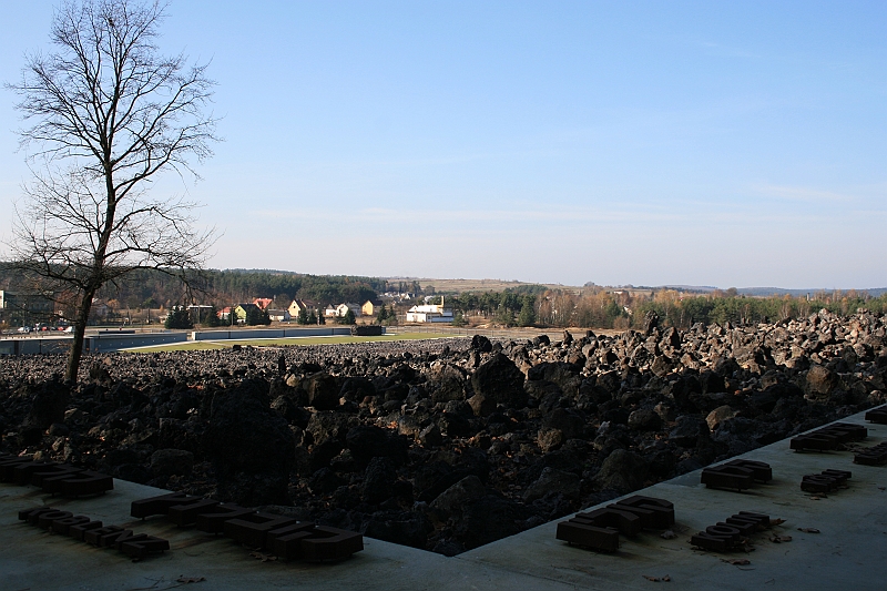 Rostoczek 11.2008 225